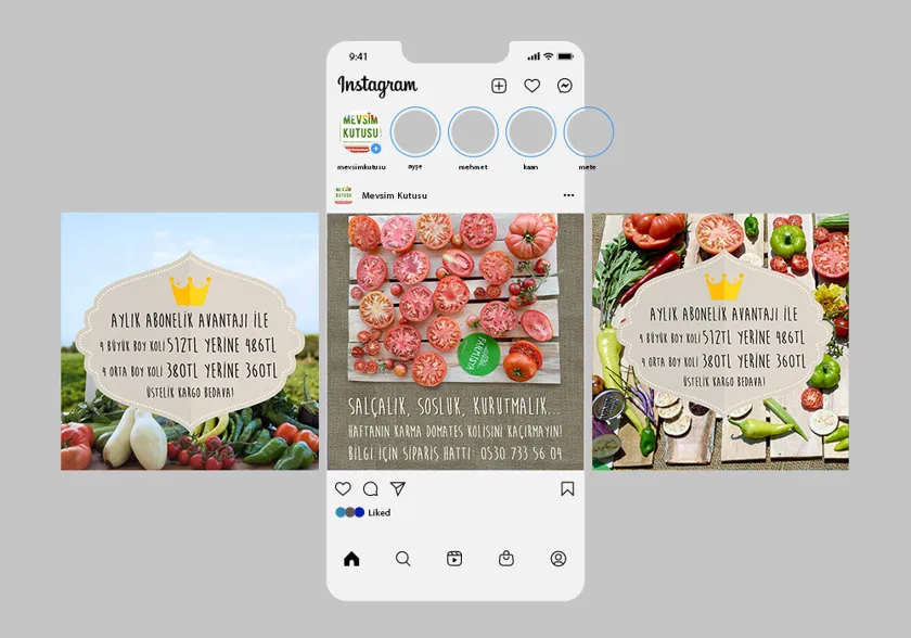 Mevsim Kutusu — Identity · Print · Digital